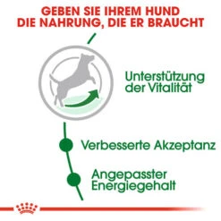 Royal Canin Mini Adult 8+ - Hundefutter -Geschäft Für Hundebedarf royal canin mini adult 8 hondenvoer 128594 0500 none