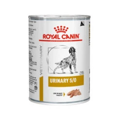 Royal Canin Urinary S/O Hund -Geschäft Für Hundebedarf royal canin urinary so hond 130511 0500 none