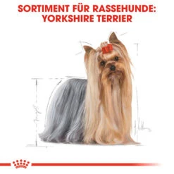 Royal Canin Yorkshire Terrier Adult - Hundefutter -Geschäft Für Hundebedarf royal canin yorkshire terrier adult hondenvoer 140714 0500 none