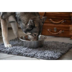 Royal Dry Spillmat 9 Royal Dry Spillmat -Geschäft Für Hundebedarf royal dry spillmat 180832 0500 none