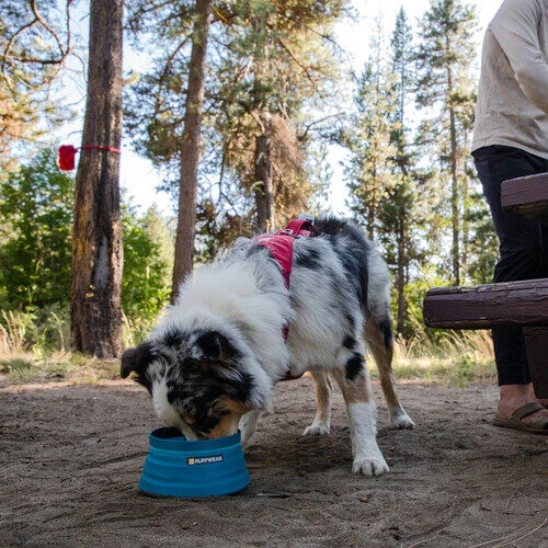 Ruffwear Bivy Bowl 6 Ruffwear Bivy Bowl – Bild 6