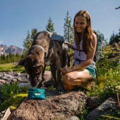 Ruffwear Flat Out Dog Collar - Alpenglow Burst 7 Ruffwear Flat Out Dog Collar - Alpenglow Burst -Geschäft Für Hundebedarf ruffwear flat out dog collar alpenglow burst 204812 0500 none