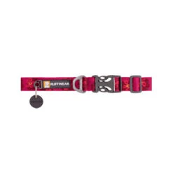 Ruffwear Flat Out Dog Collar - Alpenglow Burst 6 Ruffwear Flat Out Dog Collar - Alpenglow Burst -Geschäft Für Hundebedarf ruffwear flat out dog collar alpenglow burst 204824 0500 none