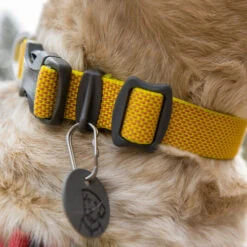 Ruffwear Hi & Light Halsband -Geschäft Für Hundebedarf ruffwear hi light collar 194258 0500 none