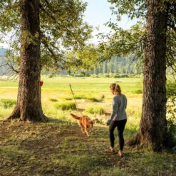 Ruffwear Knot-a-Hitch -Geschäft Für Hundebedarf ruffwear knot a hitch 124643 0500 none