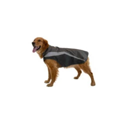 Ruffwear Lumenglow Hi-Vis Dog Jacket -Geschäft Für Hundebedarf ruffwear lumenglow hi vis dog jacket 217205 0500 none
