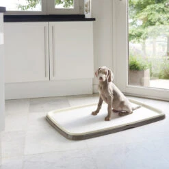 Savic Puppy Trainer + Pads 9 Savic Puppy Trainer + Pads -Geschäft Für Hundebedarf savic puppy trainer pads 163498 0500 none