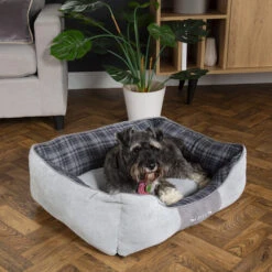Scruffs Highland Box Bed -Geschäft Für Hundebedarf scruffs highland box bed 190834 0500 none