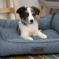Scruffs Manhattan Box Bett -Geschäft Für Hundebedarf scruffs manhattan box bed 209507 0500 none