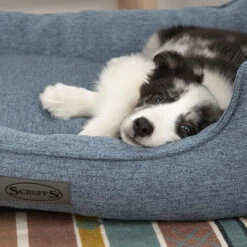 Scruffs Manhattan Box Bett -Geschäft Für Hundebedarf scruffs manhattan box bed 209510 0500 none