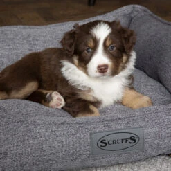 Scruffs Manhattan Box Bett -Geschäft Für Hundebedarf scruffs manhattan box bed 209513 0500 none