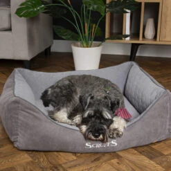 Scruffs Thermal Box Bed -Geschäft Für Hundebedarf scruffs thermal box bed 190825 0500 none