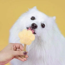 Smoofl Hundeeis Starter Kit 17 Smoofl Hundeeis Starter Kit -Geschäft Für Hundebedarf smoofl dog ice starter kit 195155 0500 none