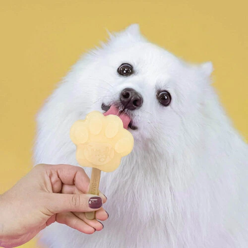 Smoofl Hundeeis Starter Kit 9 Smoofl Hundeeis Starter Kit – Bild 9