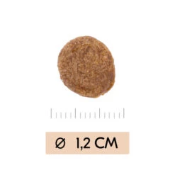 Vetality Gastrointestinal - Hundefutter -Geschäft Für Hundebedarf vetality gastrointestinal hondenvoer 195449 0500 none