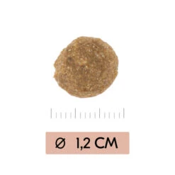 Vetality Gastrointestinal Low Fat - Hundefutter 6 Vetality Gastrointestinal Low Fat - Hundefutter -Geschäft Für Hundebedarf vetality gastrointestinal low fat hondenvoer 195467 0500 none