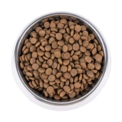 Vetality Hypoallergenic - Hundefutter -Geschäft Für Hundebedarf vetality hypoallergenic hondenvoer 195278 0500 none