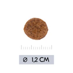 Vetality Hypoallergenic - Hundefutter -Geschäft Für Hundebedarf vetality hypoallergenic hondenvoer 195473 0500 none