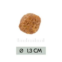 Vetality Metabolic & Mobility - Hundefutter -Geschäft Für Hundebedarf vetality metabolic mobility hondenvoer 195470 0500 none