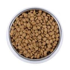 Vetality Skin Support - Hundefutter -Geschäft Für Hundebedarf vetality skin support hondenvoer 195221 0500 none