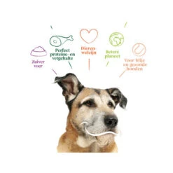 Yarrah - Trockenfutter Senior Mit Huhn, Fisch Und Kräutern Bio -Geschäft Für Hundebedarf yarrah droogvoer hond senior bio 201146 0500 none