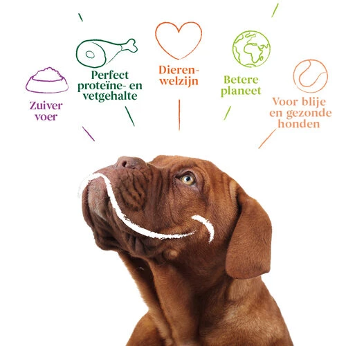 Yarrah - Bröckchen Huhn Mit Brennnessel & Tomate In Soße Bio 4 Yarrah - Bröckchen Huhn Mit Brennnessel & Tomate In Soße Bio – Bild 4