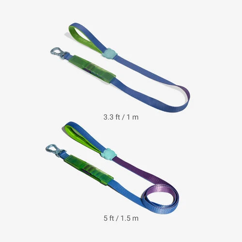 Zee.Dog Airleash Hundeleine 2 Zee.Dog Airleash Hundeleine – Bild 2