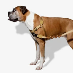 Zee.Dog Soft Walk Harness -Geschäft Für Hundebedarf zeedog soft walk harness 200678 0500 none